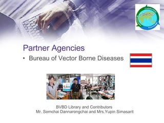 Partner Agencies Bureau of Vector Borne Diseases BVBD Library and Contributors  Mr. Somchai Dannarongchai and Mrs.Yupin Simasarit 