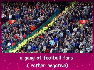 a gang of football fans  ( rather negative) 