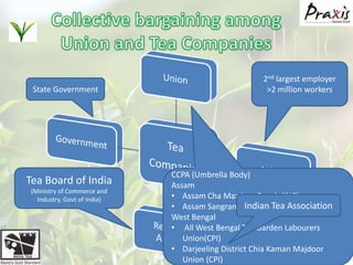 Collective bargaining among Union and Tea Companies2nd largest employer>2 million workersState GovernmentTea Board of India(Ministry of Commerce and Industry, Govt of India)CCPA (Umbrella Body)AssamAssam Cha MazdoorSangh (INC)