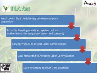 PLA ActPlantation Labor Act (1951)Only Goodricke and Duncan provide 100% housing, others involve in local bargainingCannot bargain on wage and ration1 meeting in 3 years for wage revisionMain dispute on efficiency of workers (output)Free Housing