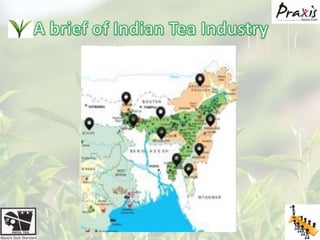 A brief of Indian Tea Industry