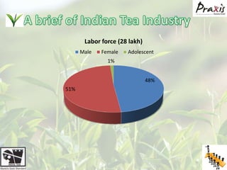 A brief of Indian Tea Industry