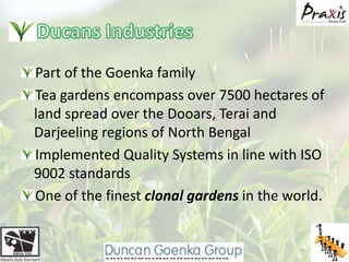Ducans IndustriesPart of the GoenkafamilyTea gardens encompass over 7500 hectares of land spread over the Dooars, Terai and Darjeeling regions of North BengalImplemented Quality Systems in line with ISO 9002 standardsOne of the finest clonal gardens in the world.
