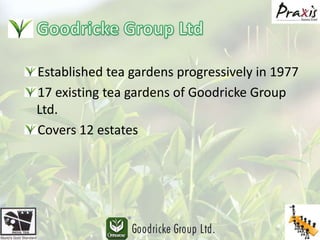 Goodricke Group LtdEstablished tea gardens progressively in 197717 existing tea gardens of Goodricke Group Ltd.Covers 12 estates