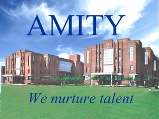 AMITY
We nurture talent
 