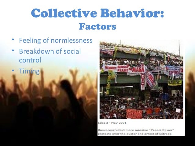 Collective behavior