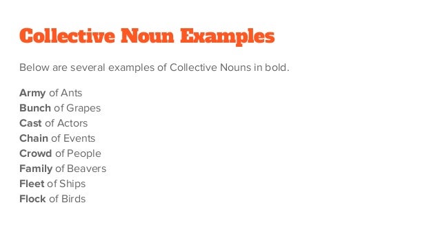 Collective Noun Definition & Examples
