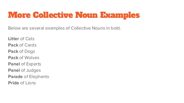 Collective Noun Definition & Examples