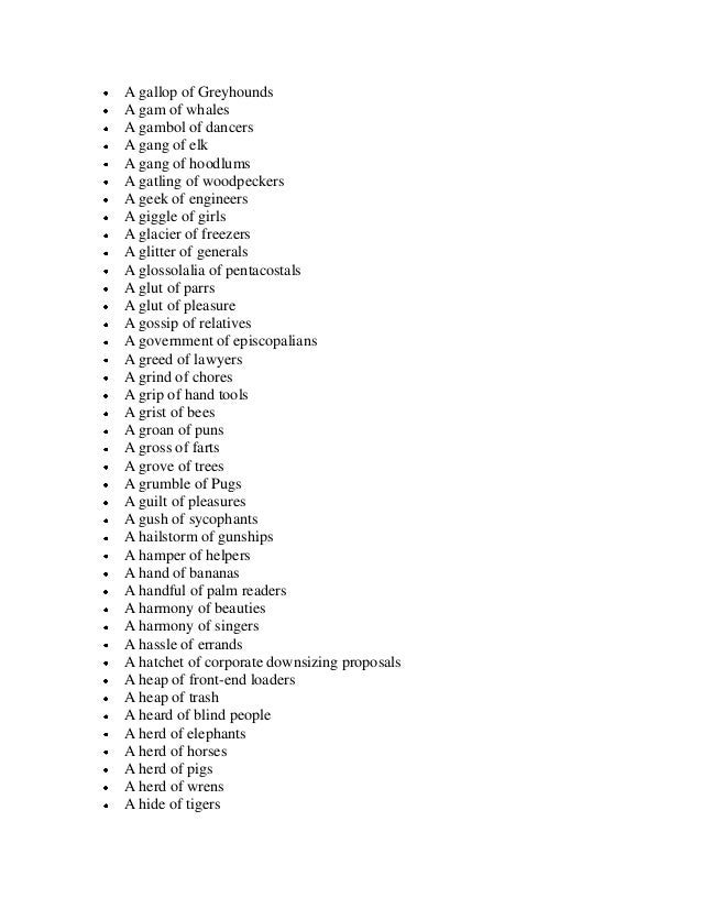 Collective Noun List