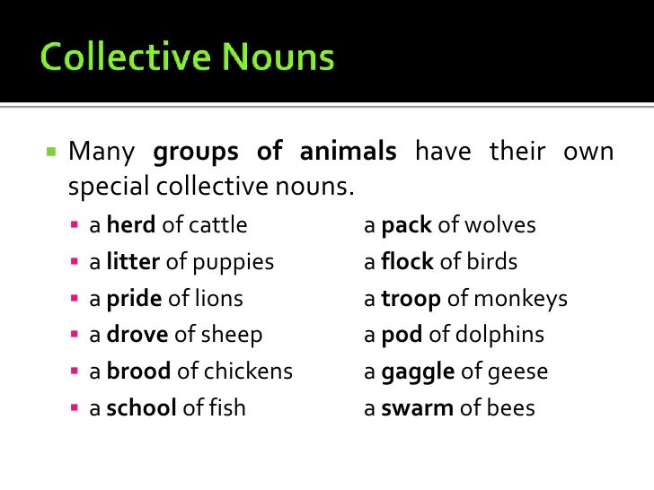 Collective Nouns