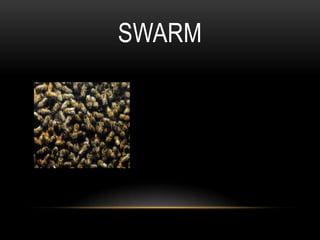 SWARM
 