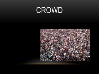 CROWD
 