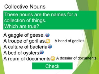 Collective Nouns
These nouns are the names for a
collection of things.
Which are true?
Check
A gaggle of geese.
A troupe of gorillas.
A culture of bacteria.
A bed of oysters.
A ream of documents.
A band of gorillas.
A dossier of documents.
 
