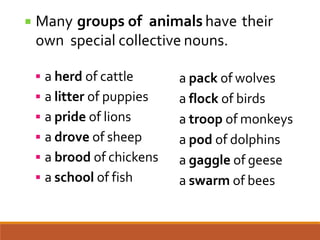 Collective nouns