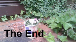 The End
 