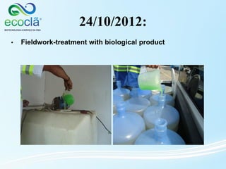 24/10/2012:
• Fieldwork-treatment with biological product
 