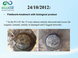 24/10/2012:
* In the Pv's 01 the 15 were almost entirely drowned and excess fat
(organic cement), mainly in damaged and Clogged networks.
• Fieldwork-treatment with biological product
 