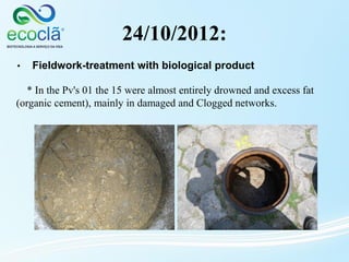 24/10/2012:
* In the Pv's 01 the 15 were almost entirely drowned and excess fat
(organic cement), mainly in damaged and Clogged networks.
• Fieldwork-treatment with biological product
 