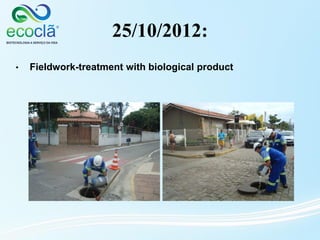 25/10/2012:
• Fieldwork-treatment with biological product
 