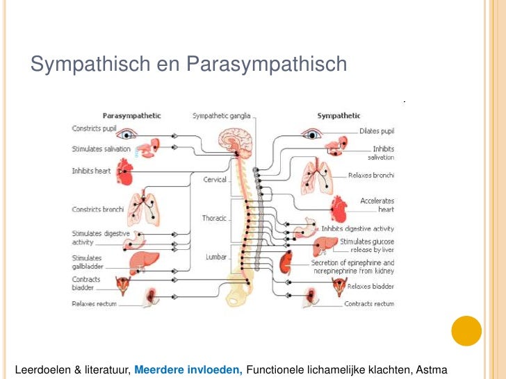College 4, Somatic Problems