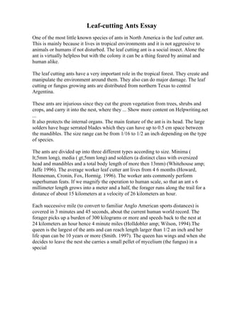 Leaf-cutting Ants Essay
One of the most little known species of ants in North America is the leaf cutter ant.
This is mainly because it lives in tropical environments and it is not aggressive to
animals or humans if not disturbed. The leaf cutting ant is a social insect. Alone the
ant is virtually helpless but with the colony it can be a thing feared by animal and
human alike.
The leaf cutting ants have a very important role in the tropical forest. They create and
manipulate the environment around them. They also can do major damage. The leaf
cutting or fungus growing ants are distributed from northern Texas to central
Argentina.
These ants are injurious since they cut the green vegetation from trees, shrubs and
crops, and carry it into the nest, where they ... Show more content on Helpwriting.net
...
It also protects the internal organs. The main feature of the ant is its head. The large
solders have huge serrated blades which they can have up to 0.5 cm space between
the mandibles. The size range can be from 1/16 to 1/2 an inch depending on the type
of species.
The ants are divided up into three different types according to size. Minima (
lt;5mm long), media ( gt;5mm long) and soldiers (a distinct class with oversized
head and mandibles and a total body length of more then 13mm) (Whitehouse amp;
Jaffe 1996). The average worker leaf cutter ant lives from 4 6 months (Howard,
Henneman, Cronin, Fox, Hormig. 1996). The worker ants commonly perform
superhuman feats. If we magnify the operation to human scale, so that an ant s 6
millimeter length grows into a meter and a half, the forager runs along the trail for a
distance of about 15 kilometers at a velocity of 26 kilometers an hour.
Each successive mile (to convert to familiar Anglo American sports distances) is
covered in 3 minutes and 45 seconds, about the current human world record. The
forager picks up a burden of 300 kilograms or more and speeds back to the nest at
24 kilometers an hour hence 4 minute miles (Holldobler amp; Wilson, 1994).The
queen is the largest of the ants and can reach length larger than 1/2 an inch and her
life span can be 10 years or more (Smith. 1997). The queen has wings and when she
decides to leave the nest she carries a small pellet of mycelium (the fungus) in a
special
 