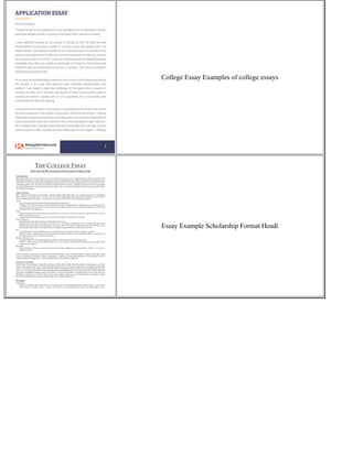 College Admissions Essay Prompts | PDF