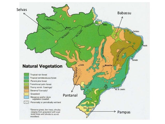 Fysische geografie van Brazilie