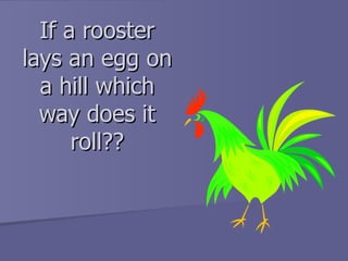 If a rooster lays an egg on a hill which way does it roll?? 