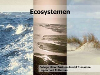 Ecosystemen




  College Minor Business Model Innovator-
  Hogeschool Rotterdam
 