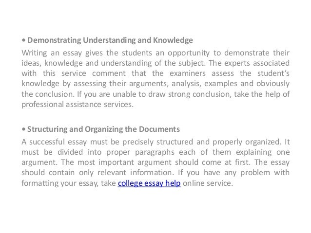 essay assistance