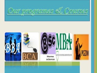 Our programes & Courses
 