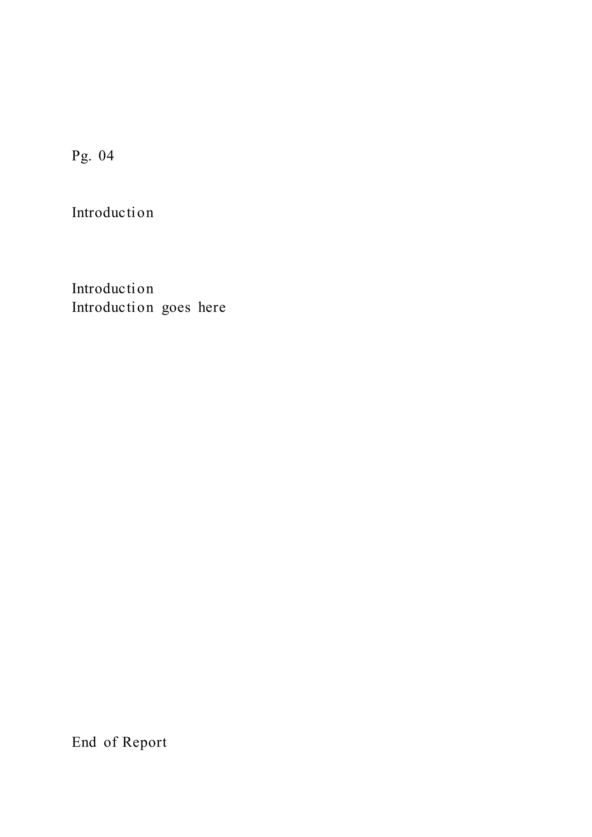 Pg. 04
Introduction
Introduction
Introduction goes here
End of Report
 