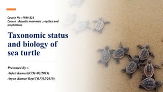 Taxonomic status
and biology of
sea turtle
Presented By :-
Anjali Kumari(COF/02/2019)
Aryan Kumar Roy(COF/05/2019)
Course No : FRM-321
Course : Aquatic mammals , reptiles and
amphibians
 