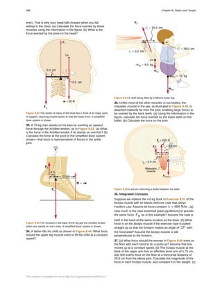 College Physics for AP courses