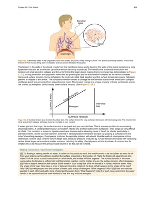 College Physics for AP courses