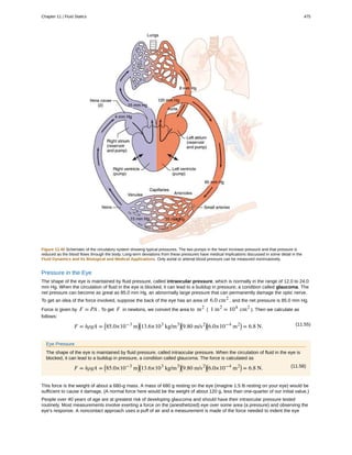 College Physics for AP courses