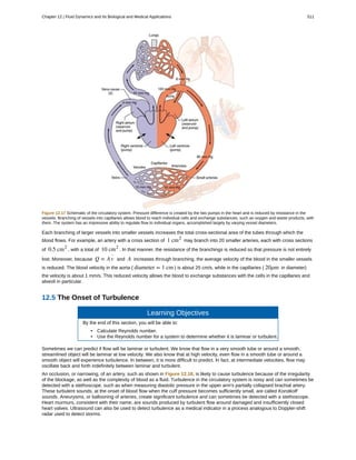 College Physics for AP courses