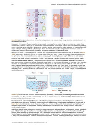 College Physics for AP courses