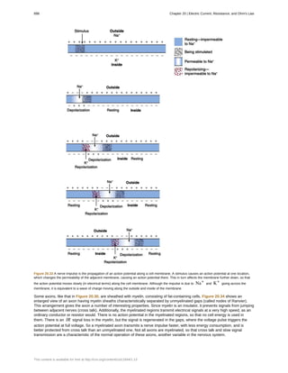 College Physics for AP courses