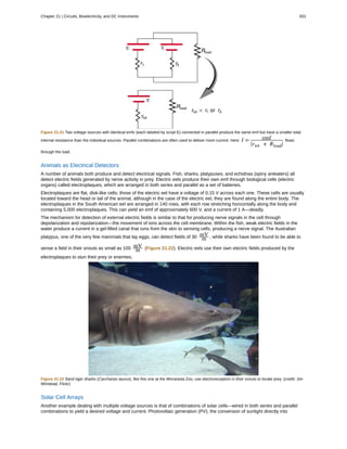 College Physics for AP courses