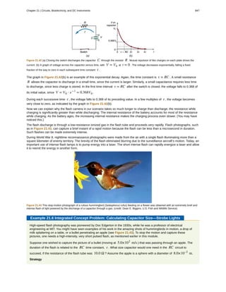 College Physics for AP courses