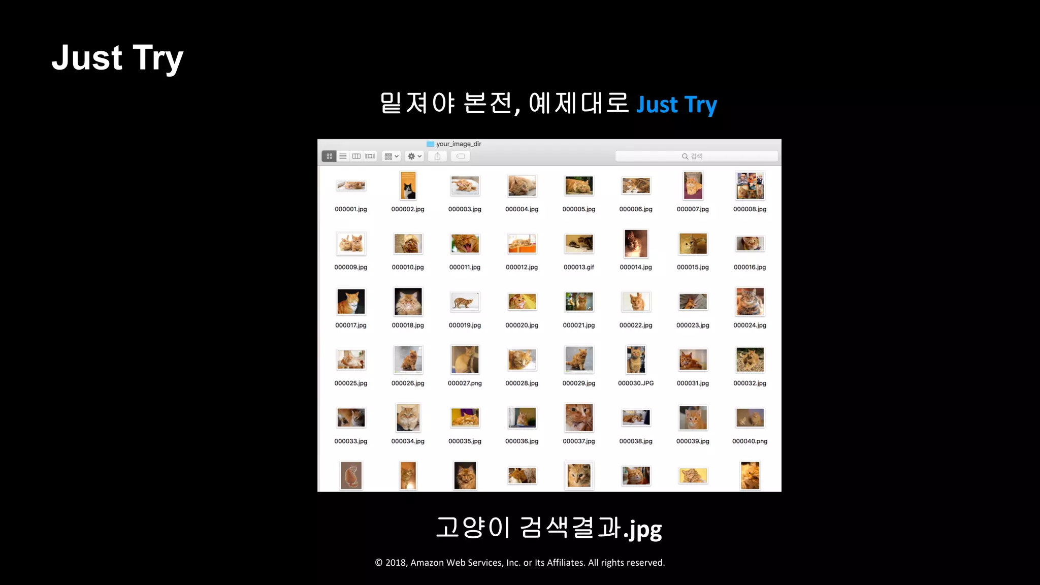 © 2018, Amazon Web Services, Inc. or Its Affiliates. All rights reserved.
밑져야 본전, 예제대로 Just Try
고양이 검색결과.jpg
Just Try
 