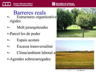 Barreres reals -  Estructures organitzatives  rígides -  Molt jerarquitzades - Parcel·les de poder -  Espais acotats -  Escassa transversalitat -  Clima/ambient laboral alterat - Agendes sobrecarregades Stonehenge  Diciembre  2007  ©  La  Taberna  de Lippincott   CC –BY –NC – 2.0   Wallabis  du  Jardin  des  Plantes   ©  fredpanassac   CC –BY –SA – 2.0 