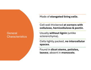 General
Characteristics
Made of elongated living cells.
Cell wall thickened at corners with
cellulose, hemicellulose & pectin.
Usually without lignin (unlike
sclerenchyma).
Cells tightly packed, no intercellular
spaces.
Found in dicot stems, petioles,
leaves; absent in monocots.
 