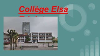 Collège Elsa
Triolet
 