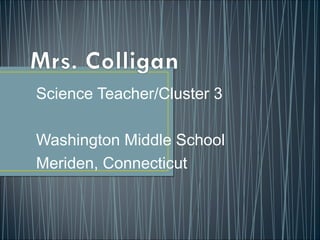 Science Teacher/Cluster 3
Washington Middle School
Meriden, Connecticut
 