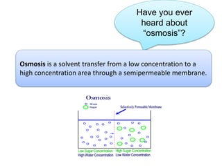 Have you ever
heard about
“osmosis”?
Osmosis is a solvent transfer from a low concentration to a
high concentration area through a semipermeable membrane.
 