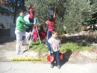 Ara ha pujat la Mar a l’escala.

 