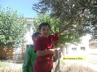 Ara li tocava a l’Eric.

 