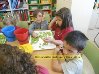 Hem canviat les parelles per a triar les olives.

 